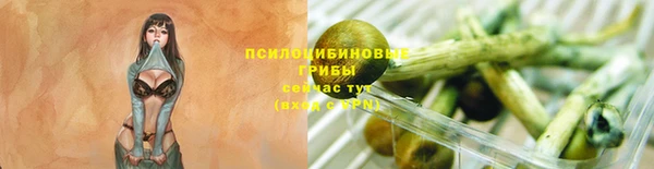 кокаин Богданович