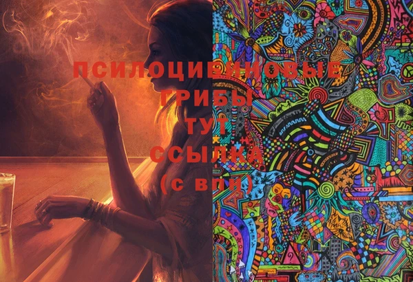 кокаин Богданович