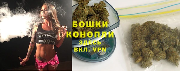 спиды Богородск